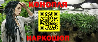шишки Бузулук