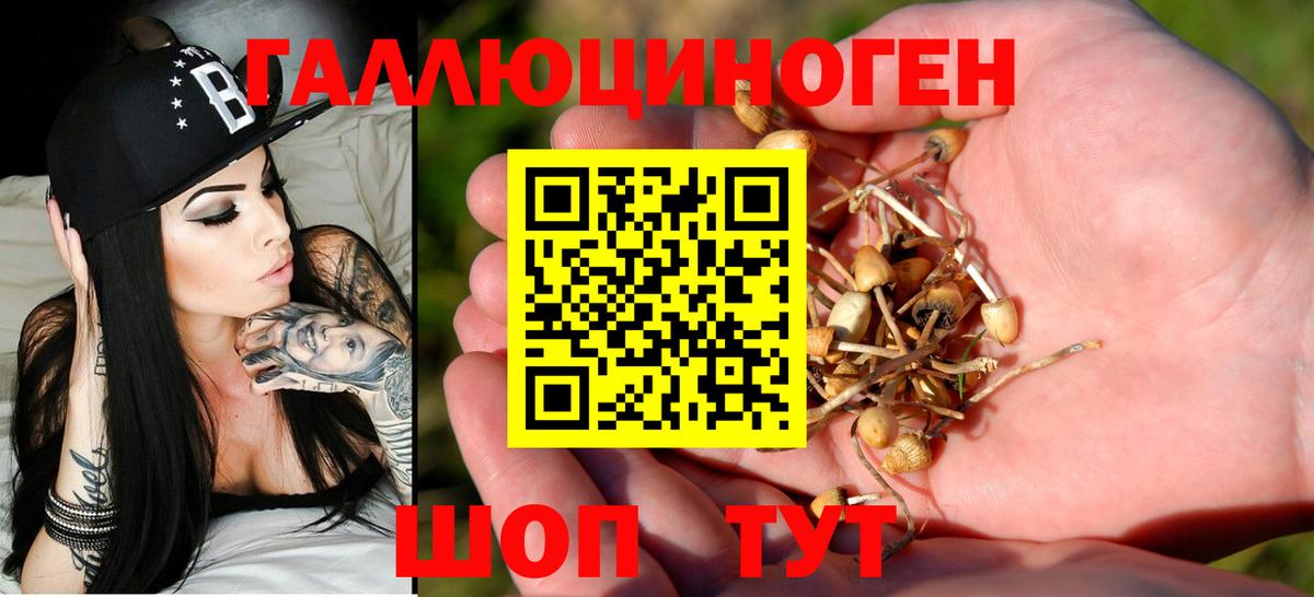 Псилоцибиновые грибы Psilocybe  Вход с VPN  Сердобск  Псилоцибиновые грибы прущие грибы 